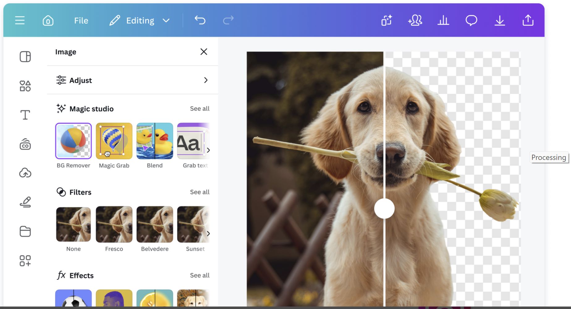Canvas Magic Design Canvas Magic Design