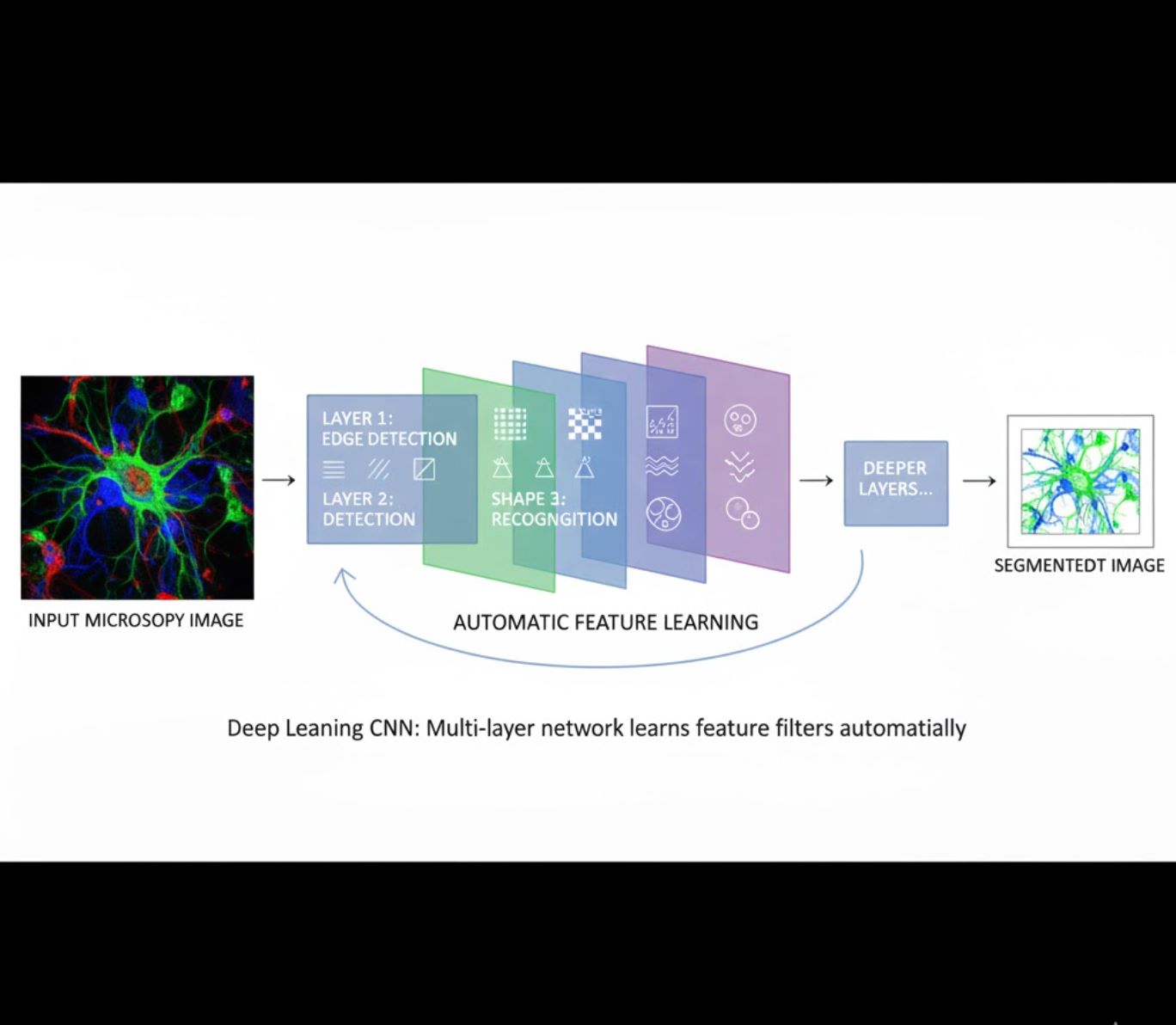 Deep Learning CNN for Microscopy